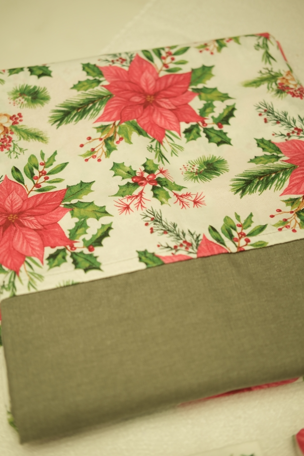 Bed Sheet | Handloom | Cotton
