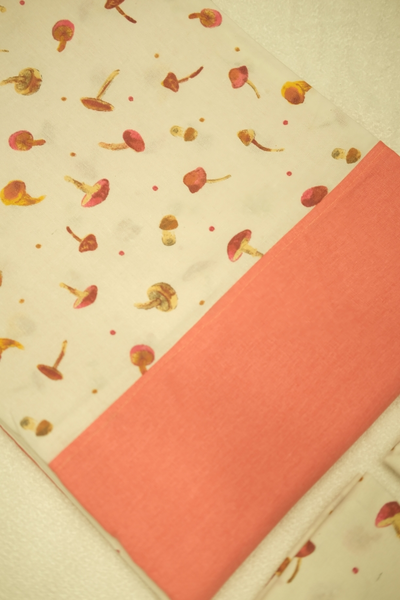 Bed Sheet | Handloom | Cotton