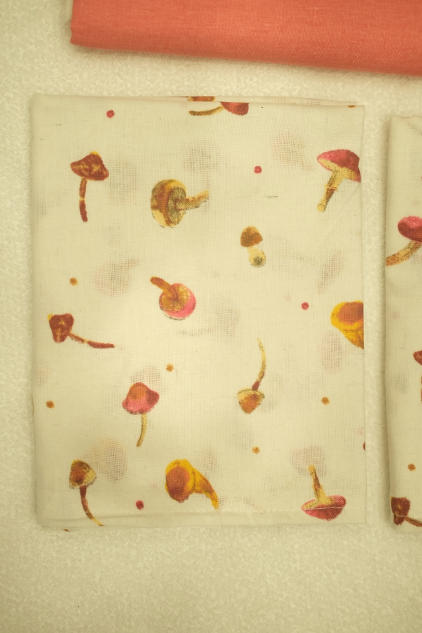 Bed Sheet | Handloom | Cotton