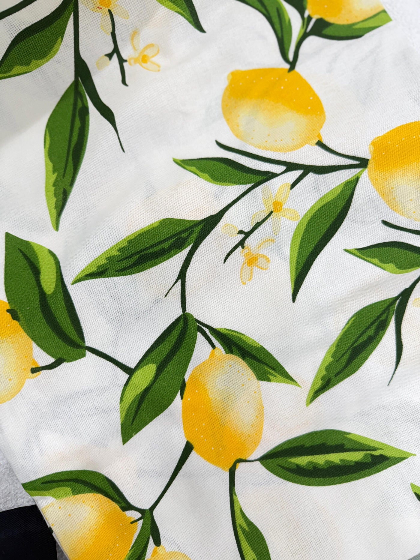 Bed Sheet | Handloom | Cotton